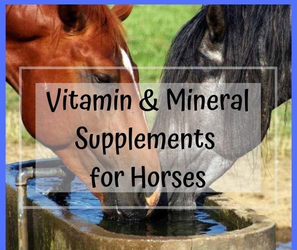Minerals Supplements Horses