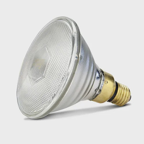Infrared Light Bulb - Phillips