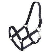 Rancher Stable Halter - Various Colours
