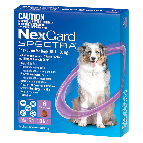 NexGard Dog Spectra Chewable 15.1-30kg 6 pack ( Purple )