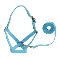 Goat/Alpaca Halter & Lead Set Baby Blue
