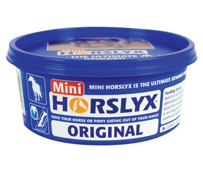 HORSLYX Original Mini Vitamin & Mineral Lick 650g
