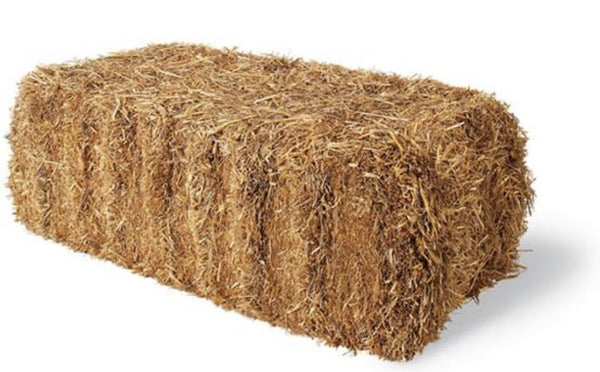 Barley Straw 500kg approx