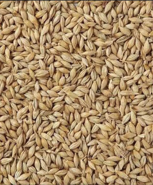 Barley Whole