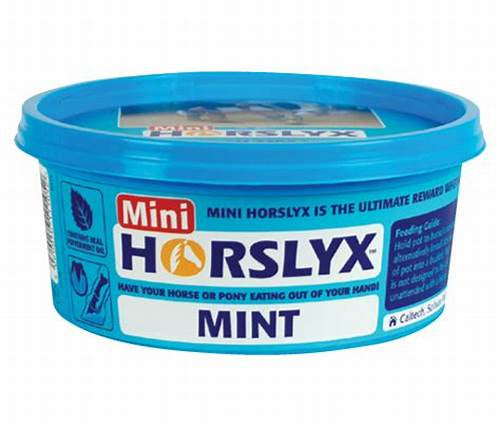 HORSLYX Mint Mini Vitamin & Mineral Lick 650g