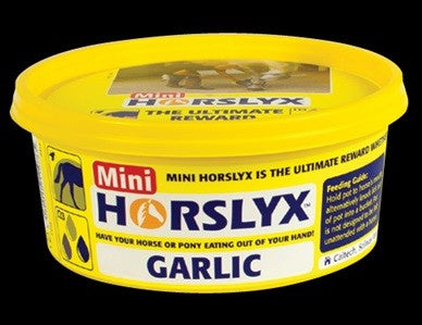 HORSLYX Garlic Mini Mineral Lick 650g