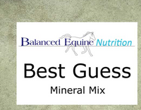 Balanced Equine Best Guess 1kg