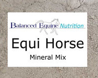 Balanced Equine Equi Horse + SE 2.9kg