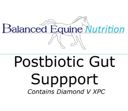 Balanced Equine Postbiotic Gut Support 2kg