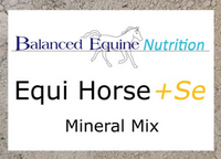 Balanced Equine Equi Horse +SE 4.9kg