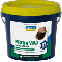 Biotin Max Kelato 800g