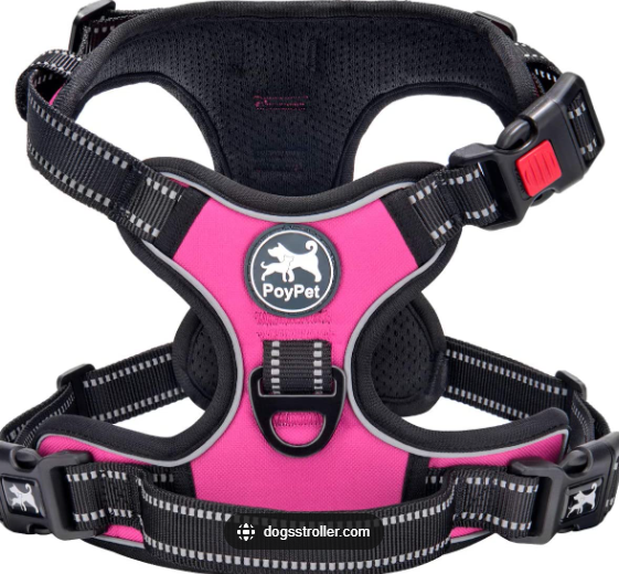 Dog Harness