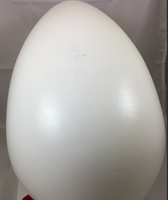 Plastic Nesting Eggs