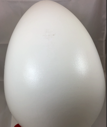 Plastic Nesting Eggs