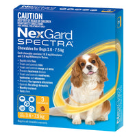 NexGard Dog Spectra Chewable 3.6-7.5 kg 3 pack ( Yellow )