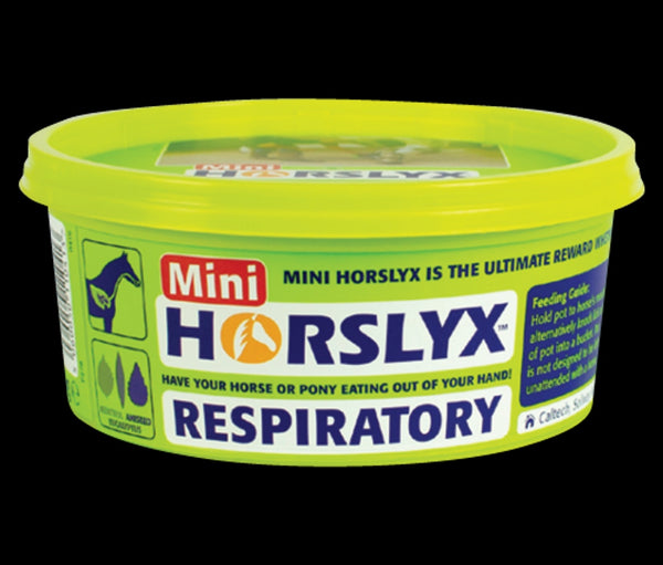 HORSLYX Respiratory Mini Vitamin & Mineral Lick 650g