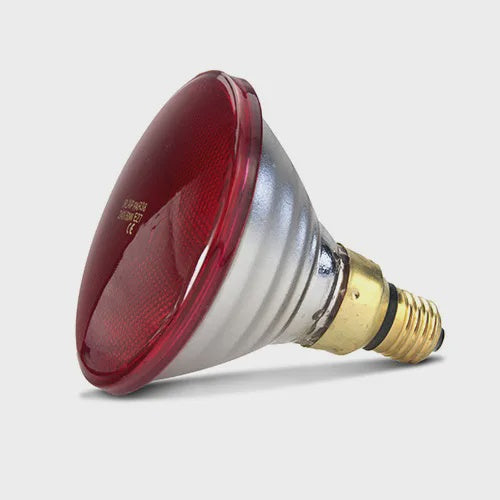 Infrared Heat Lamp Bulb - Red 50W