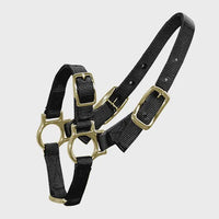 Sheep/Goat Halter - Blue