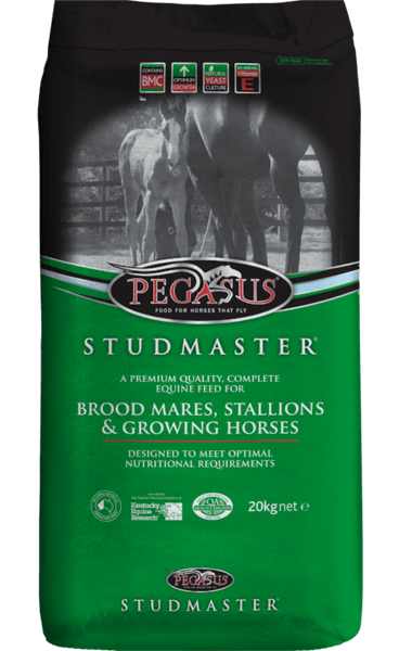 Pegasus stud Master