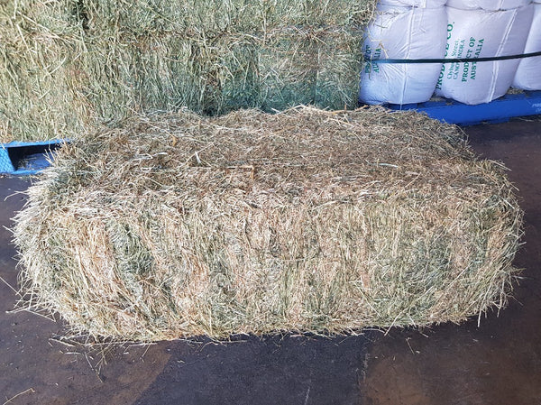 Meadow Hay Squares