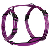 Nylon Step In Harness Medium