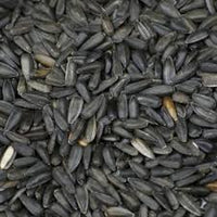 Black sunflower 5kg