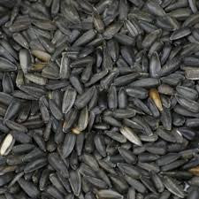 Black Sunflower 1kg