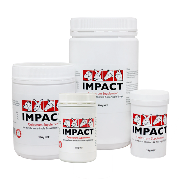 Impact 100g