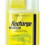 Virbac Recharge Dog 1lt