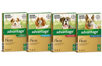 Advantage Dog and Puppy