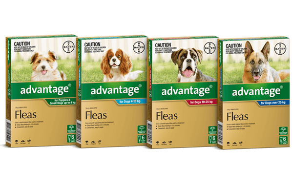 Advantage Dog and Puppy