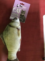 Cat Fish Toy