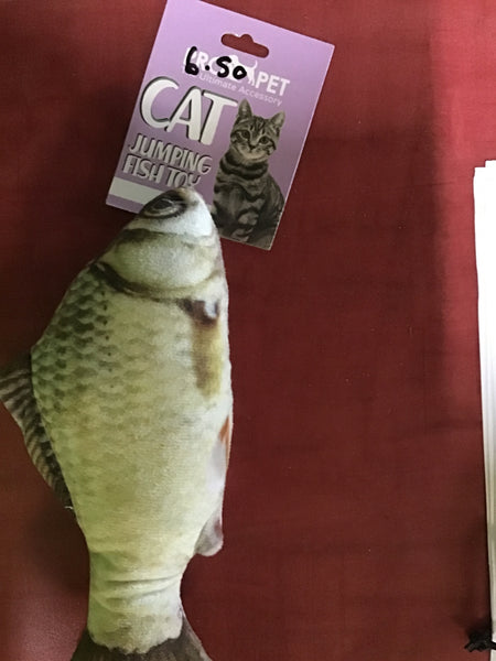 Cat Fish Toy