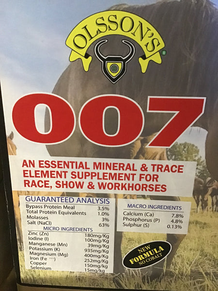 Olsson Horse Brick 007 2kg